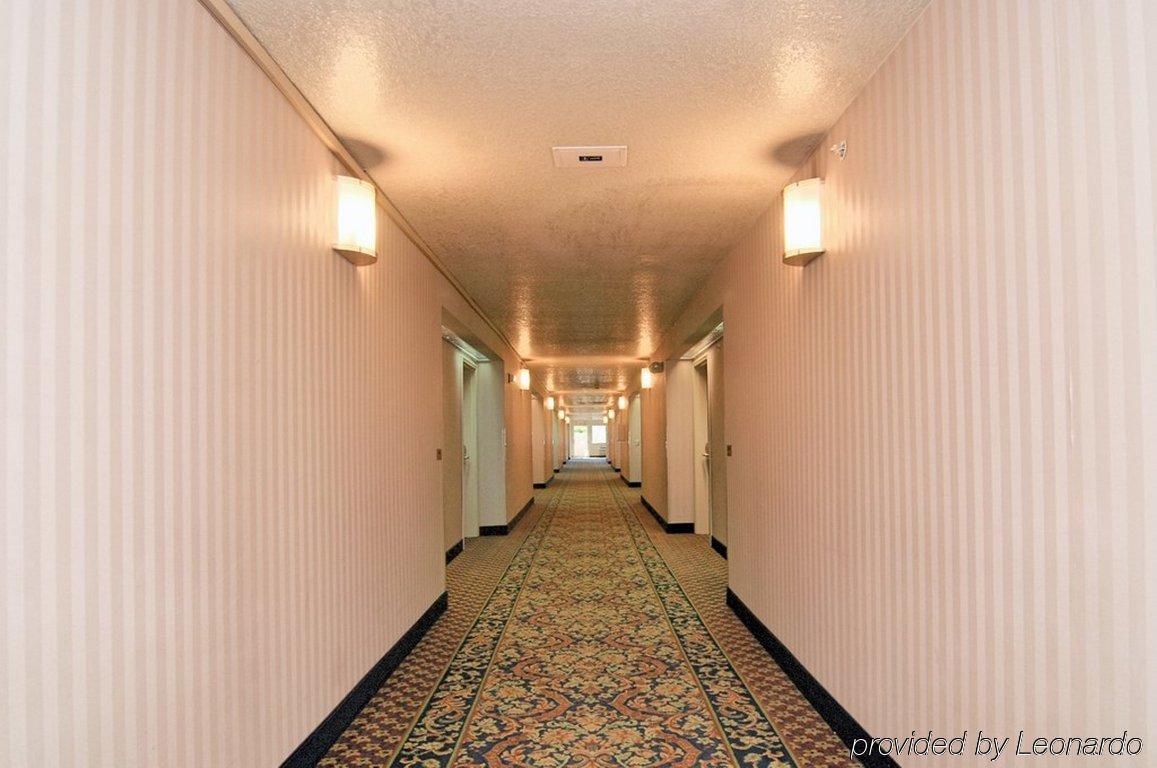 เบสท์ เวสเทิร์น ซาน มาร์คอส Hotel ซานมาร์คอส ภายนอก รูปภาพ